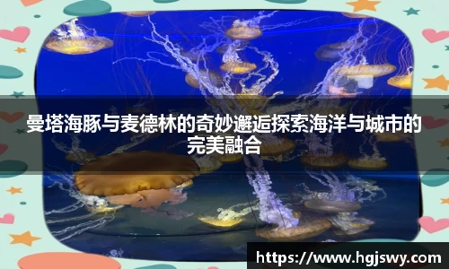 DB旗舰首页